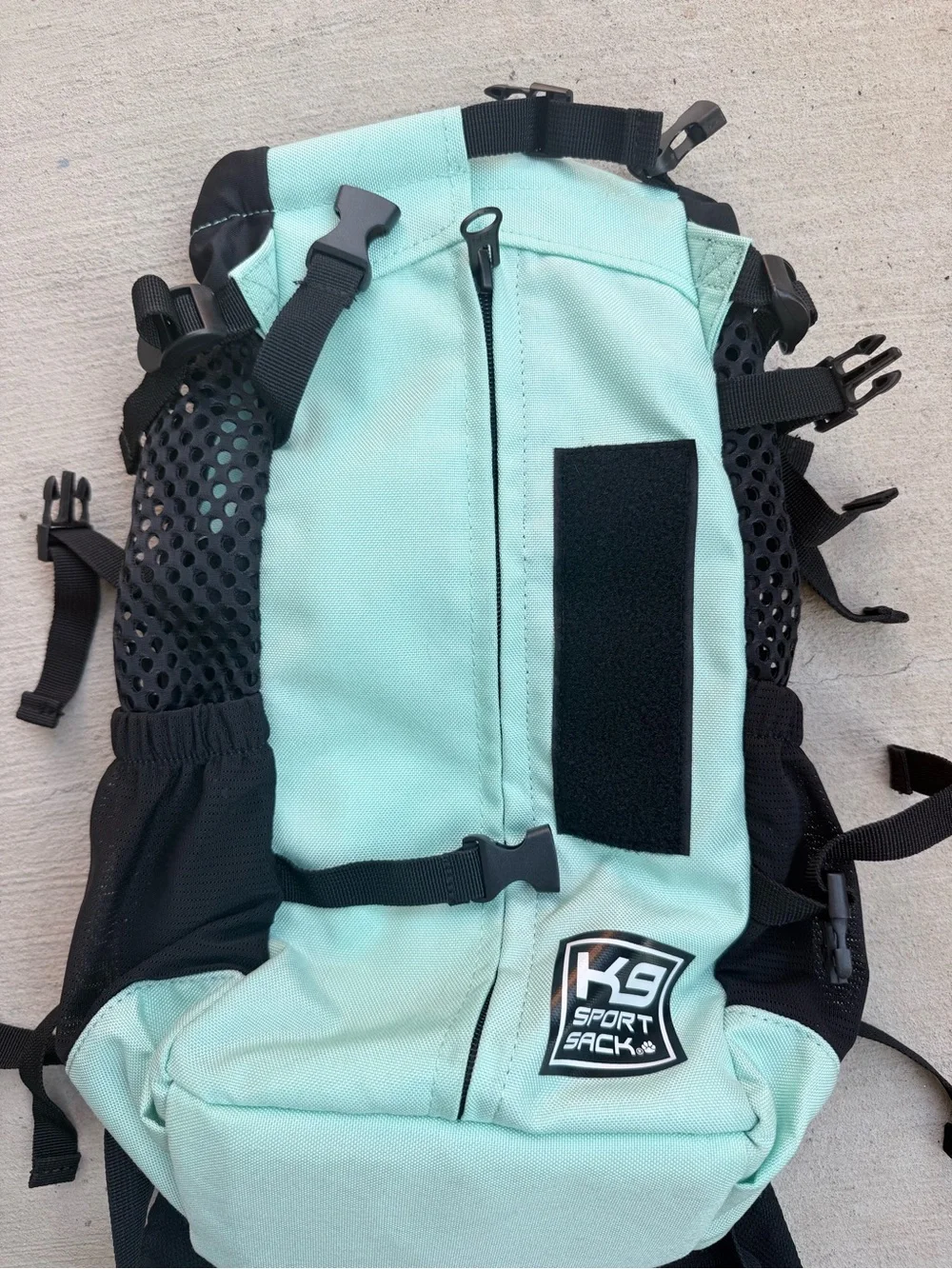 K9 Sport Sack Plus 2 Forward Facing Dog Carrier Backpack, Mint, Small